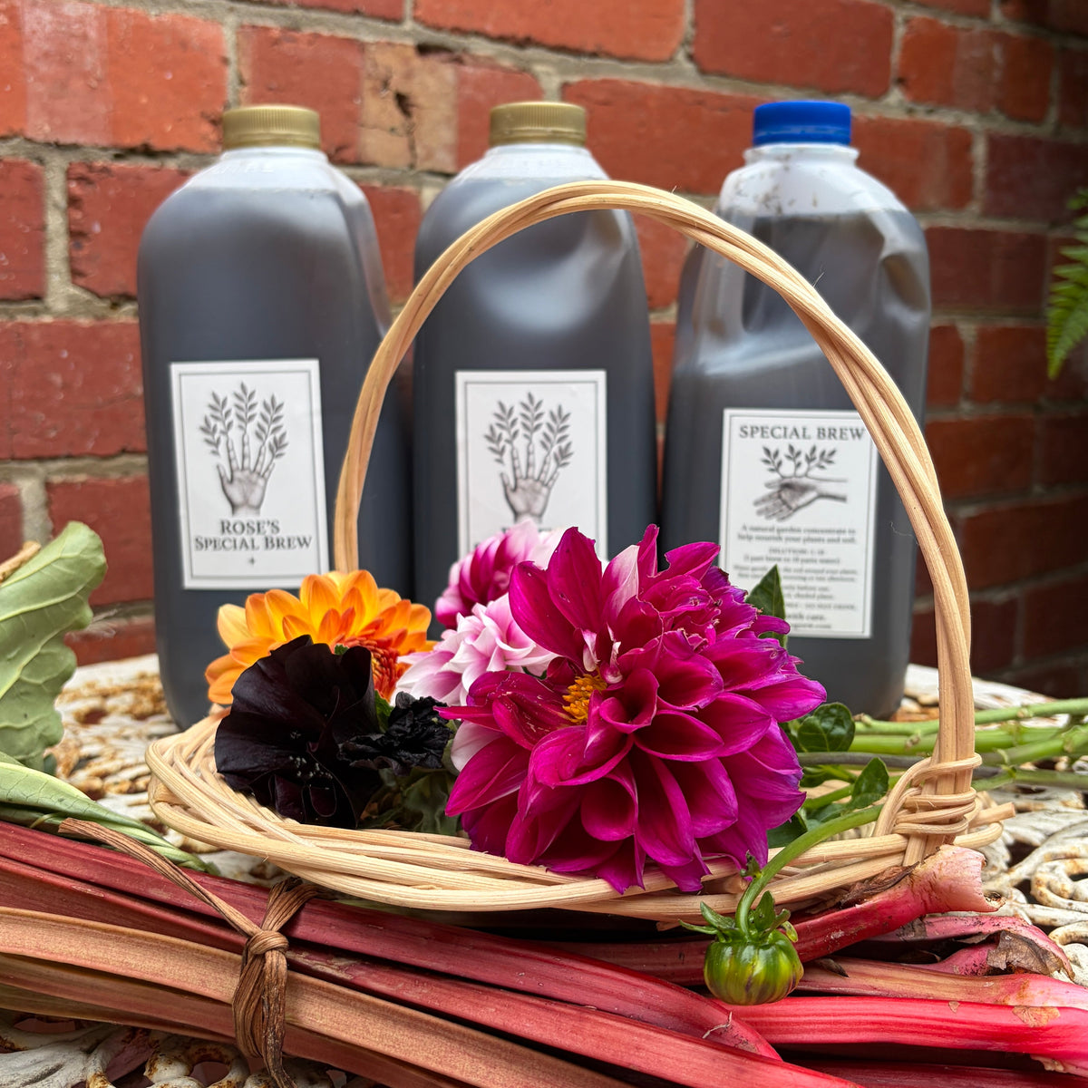 Care & Garden