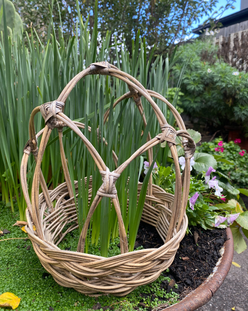 Peony Crowns and Plant Supports