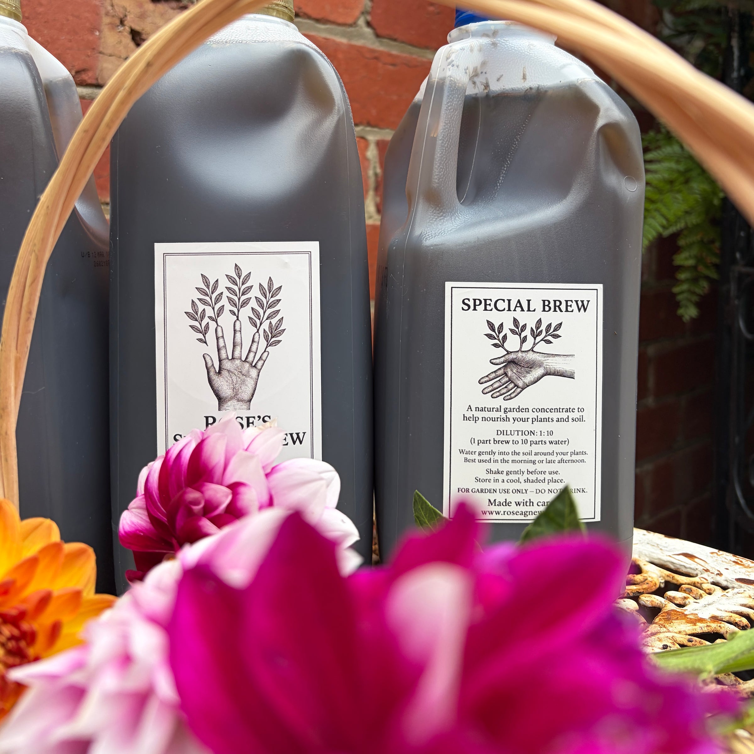 Special Brew - Garden Tonic