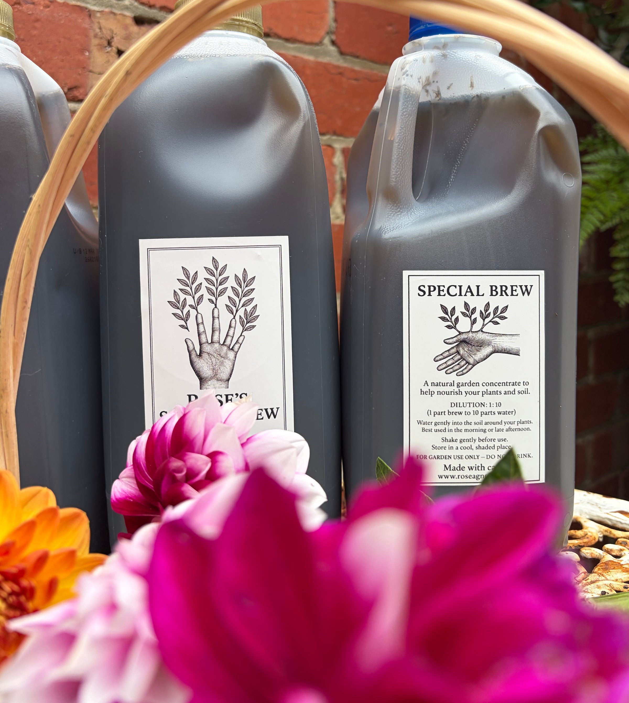 Special Brew - Garden Tonic