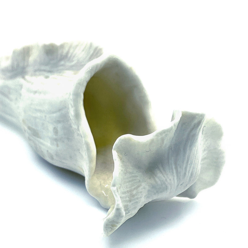 Porcelain Vase 4