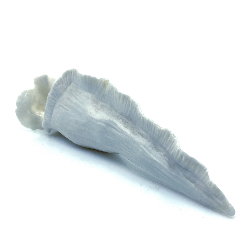 Porcelain Vase 4