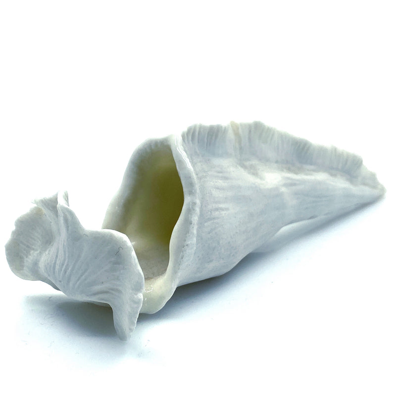 Porcelain Vase 4