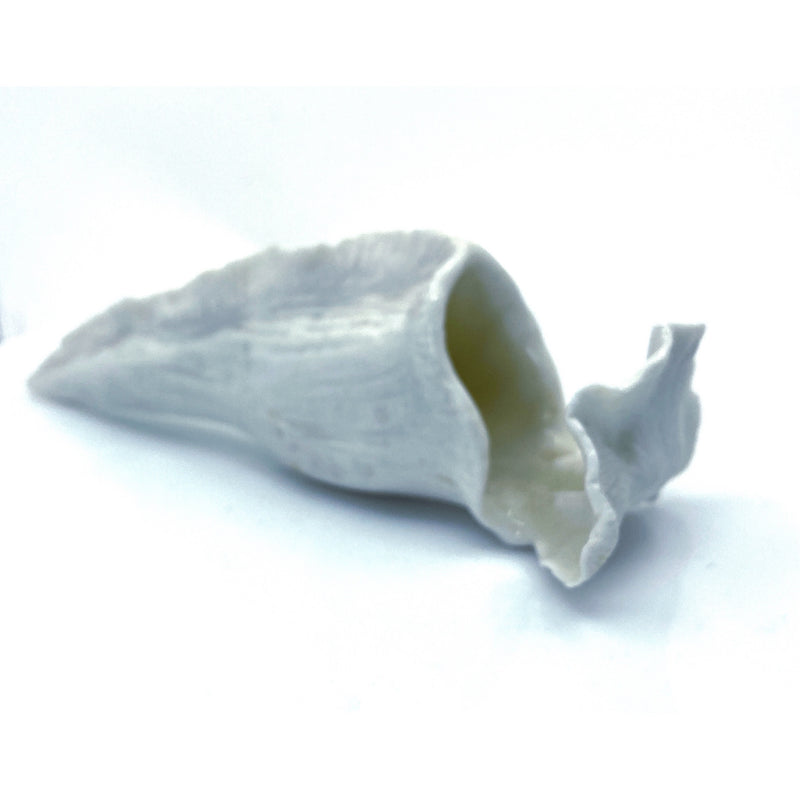 Porcelain Vase 4