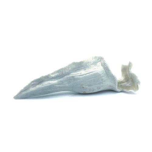 Porcelain Vase 4