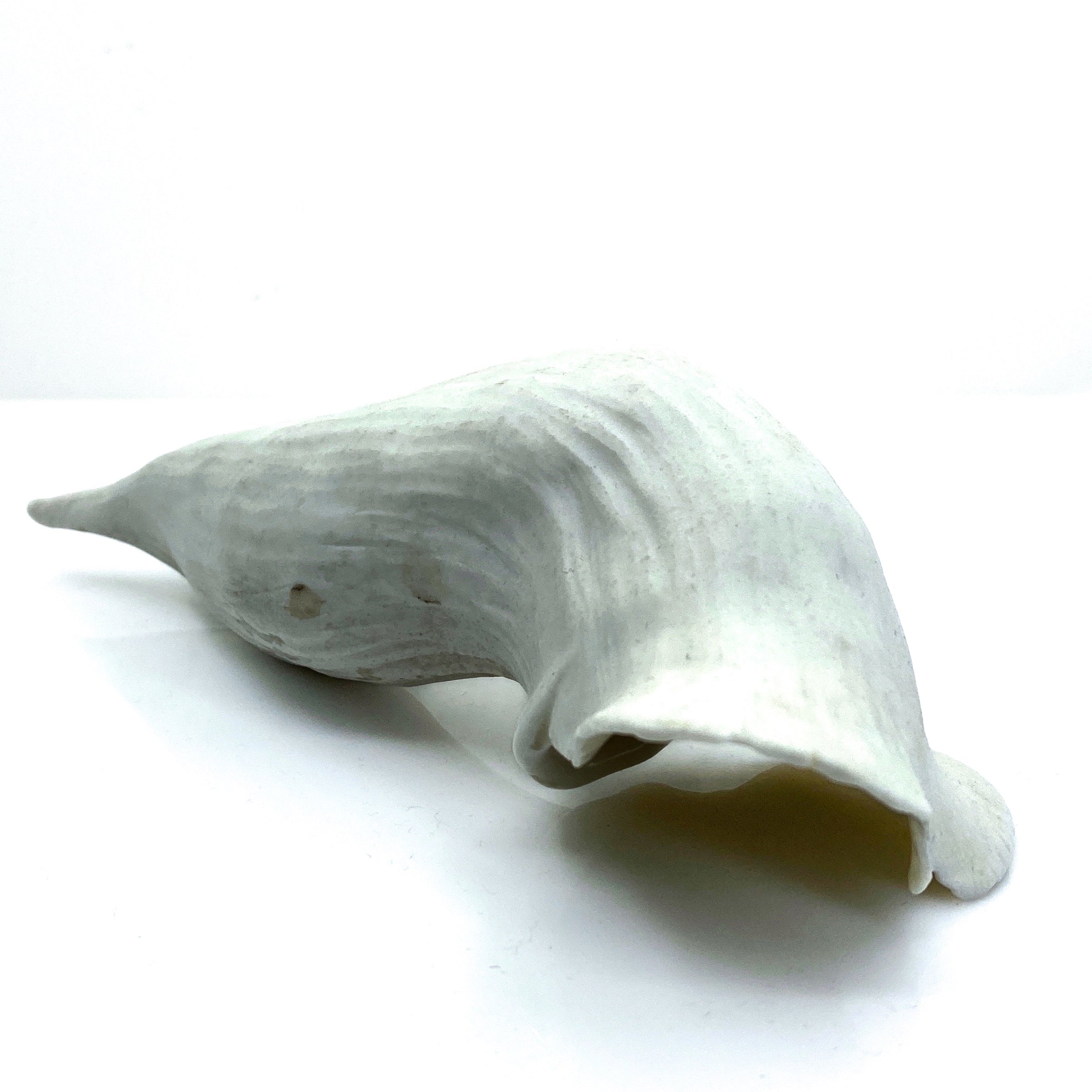 Porcelain Vase 1
