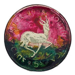 Springbok Frolic